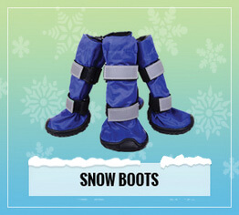 dog snow boots